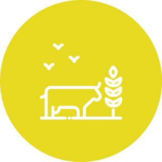 agriculture